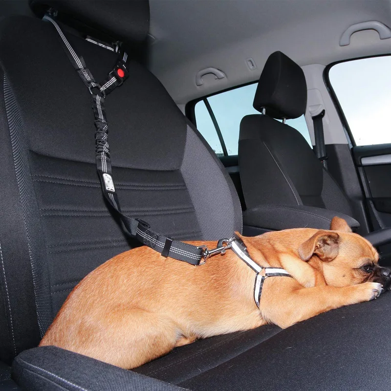 Pet Car Seat Belt Rope Ring Dog Car Retractable Elastic Reflector Leash Dog