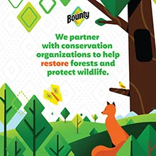 We partner with organizations to help restore forests and protect wildlife.