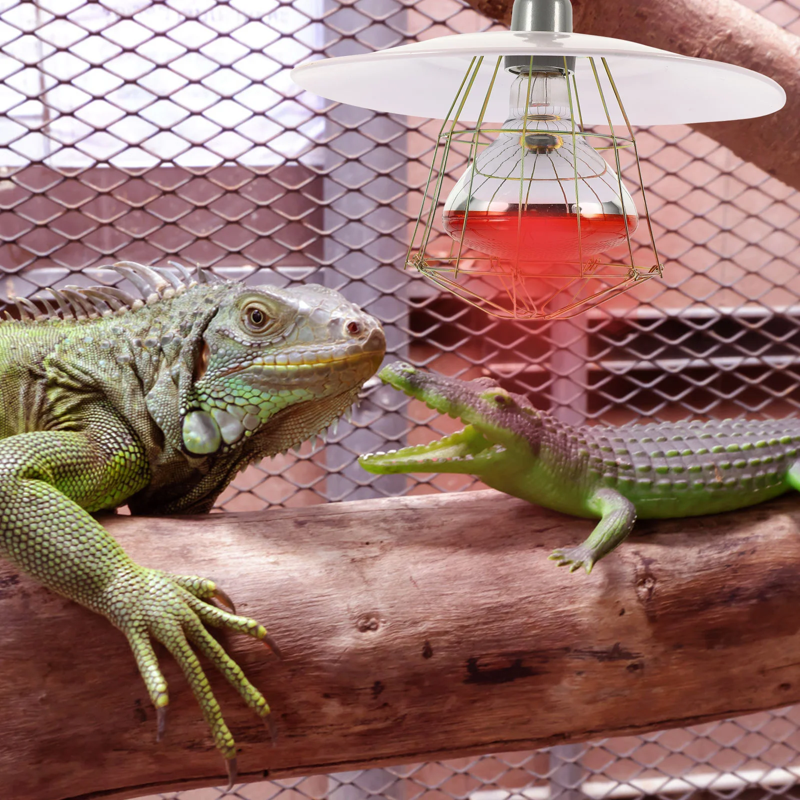 250W Livestock Incubator Box Heating Lamp Little Pig Cage Pet Lizard Warmer Light Pet Warming Lamp 30x20x10cm Random Color reptile heating lamp,reptile light bulb,reptile lamp bulb,heating lamp bulb,poultry heating bulb