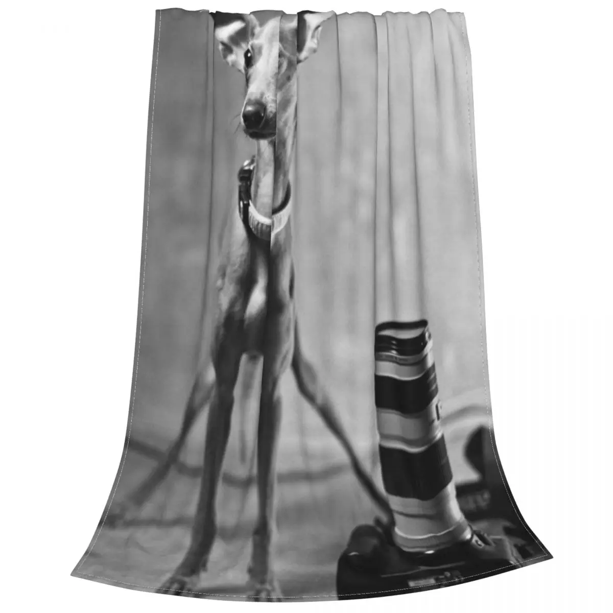 GreyhoundWhippetLurcherGalgoDogBlanketsVelvetSpringAutumn