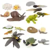 New Animal Life Cycle Board Children Toys Montessori Teaching Aids Plant Animal Growth Cycle Model Set Preschool Cognitive Toys 5