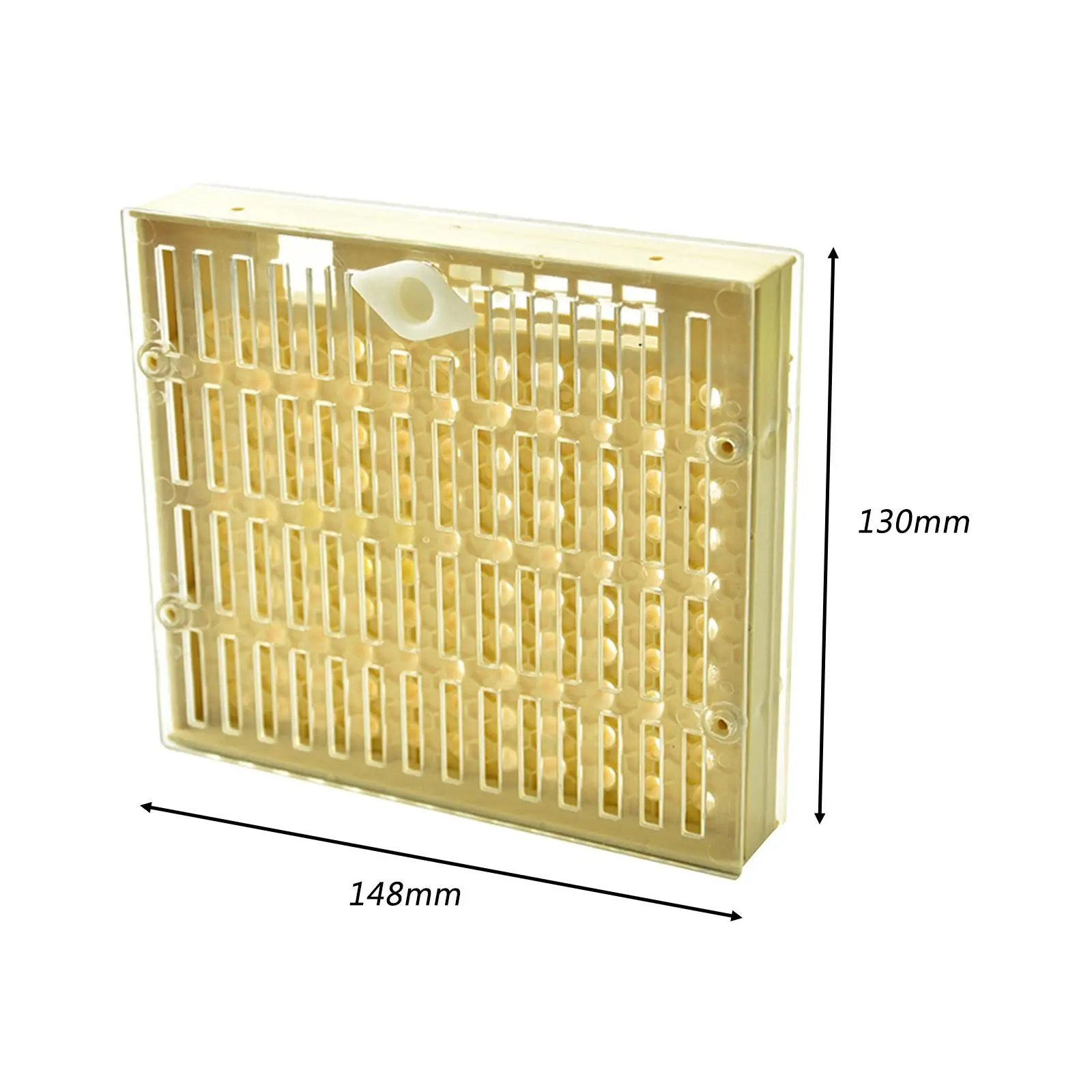 Beekeeping Rearing Box Apiculture Breeding Box Safe Beekeeping Queen Bee Rearing Grafting Set Beehive Bee for Beekeepers
