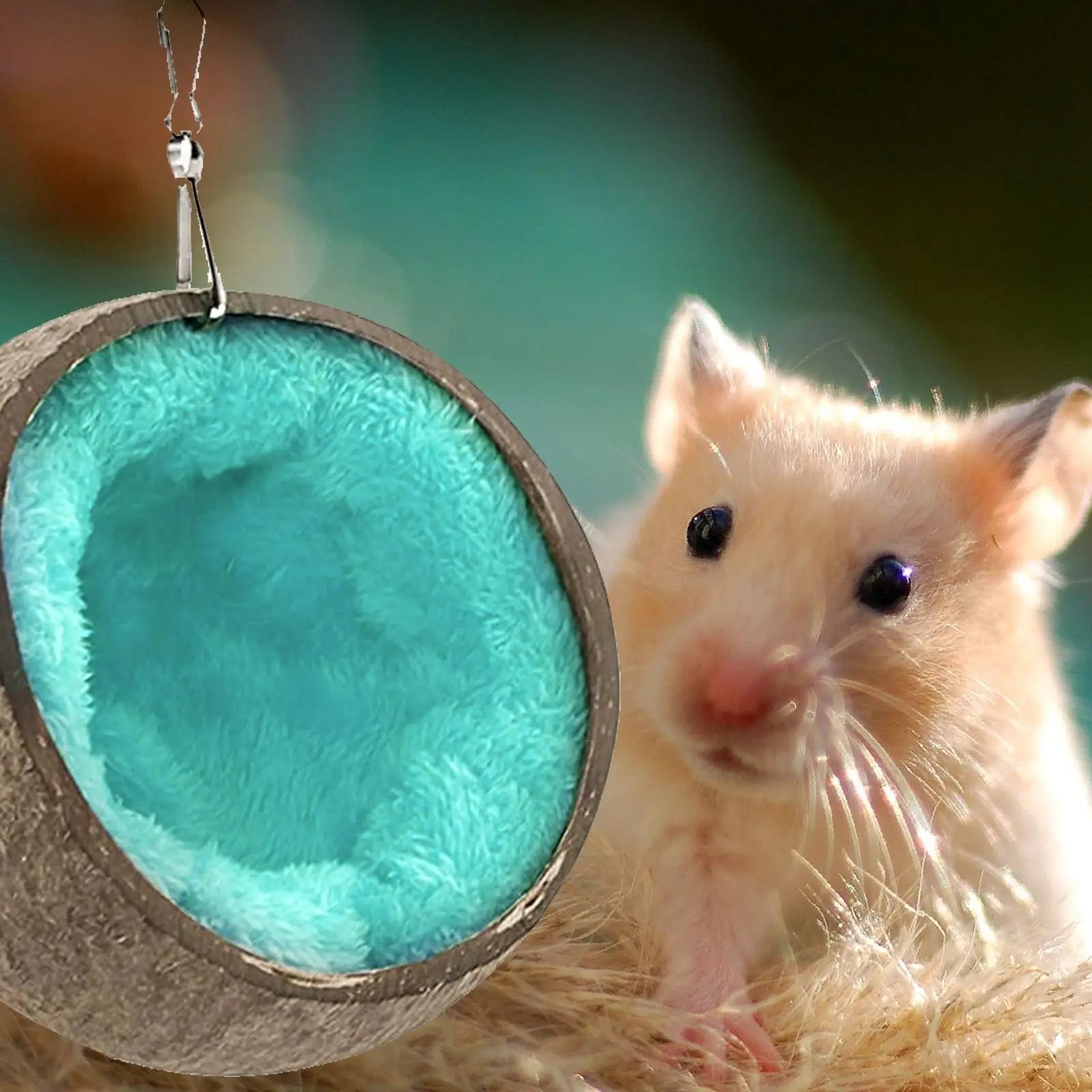 Hamster Coconut Hideout Suspension Coconut Shell Hamster Hideout Small Animal Suspension Habitat Decor Pet Cave