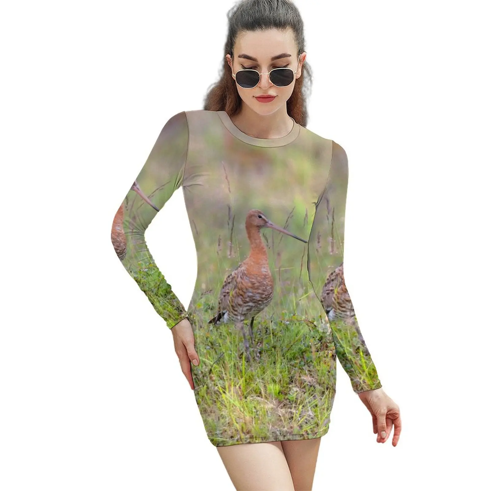 

Платье-футляр женское с длинным рукавом, акварельная птица, Godwit 03, Akureyri, Исландия