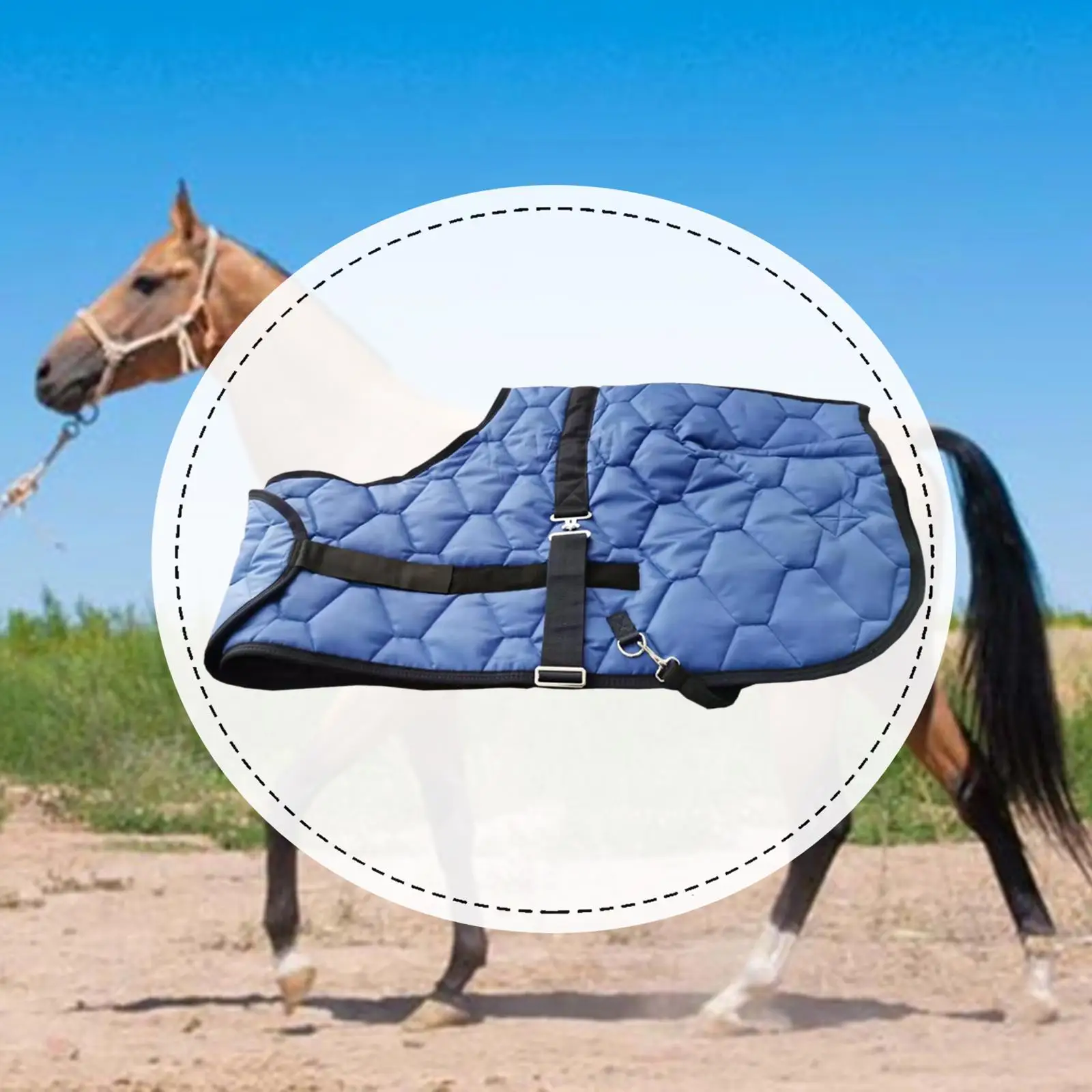 Horse Blanket Horse Clothing Tear Resistant Waterproof Horse Care Sheet Turnout Sheet Clothes for Transport Farm Pasture Stable
