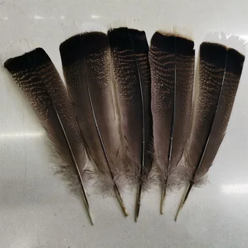 20 pz/50 pz/lotto 12-14 pollici 30-35 cm di lunghezza Rare Piume di Coda di Tacchino Selvaggio, plumas para manualidades, penna, similso