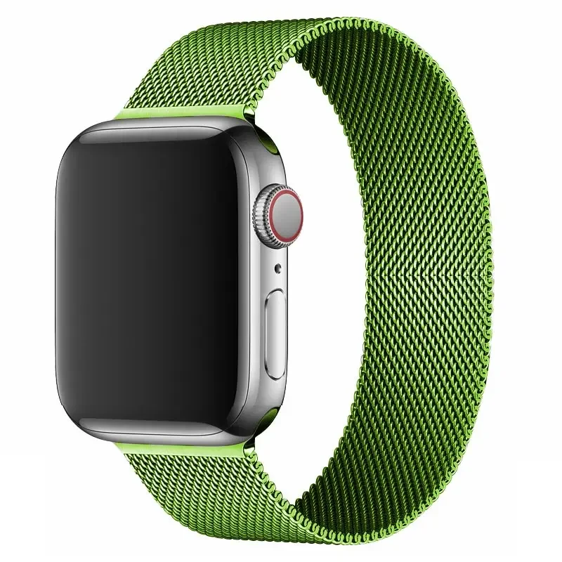Magnetic Stainless Steel Loop Strap