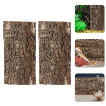 Natural Cork Bark Terrarium Decor 4