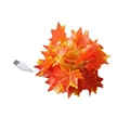 Red USB Powered