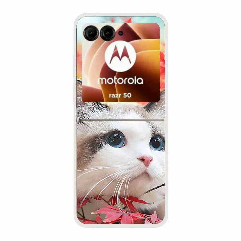 Cartoon Design Transparent Hard Plastic Back Cover Case