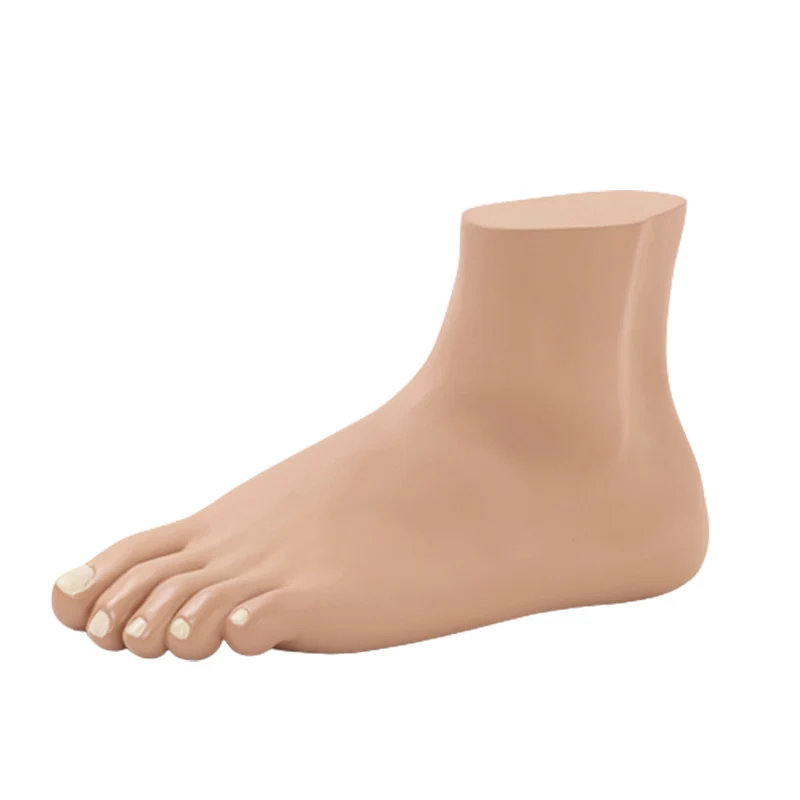 평생 인간 일반 플랫 아치 발 해부학 모델 PVC 의료 해부학 학교 실험실 용품, 1 개