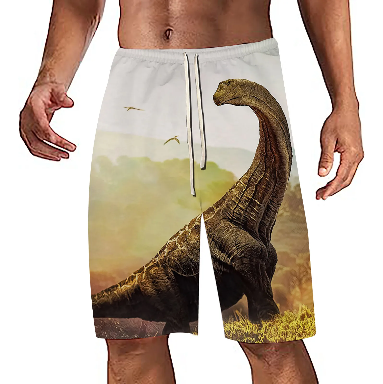   Ʈũ, 3D Ʈ  ,  ݹ,   ݹ,  ª ݹ 