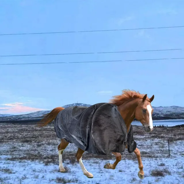Single Layer Velvet Warm Horse Clothes Winter Warm Horse Blanket Horse Vest Horse Shawl Equestrian Supplies 2