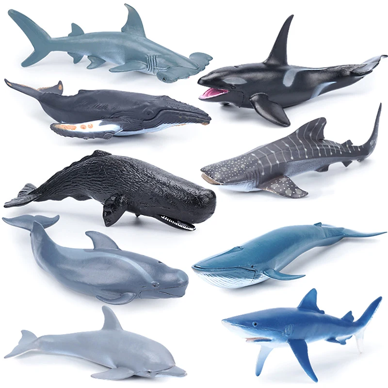 

Simulation Marine Animals Model Toys Shark Dolphin Whale Action Figures PVC Montessori Toys For Children Learning Education Toy