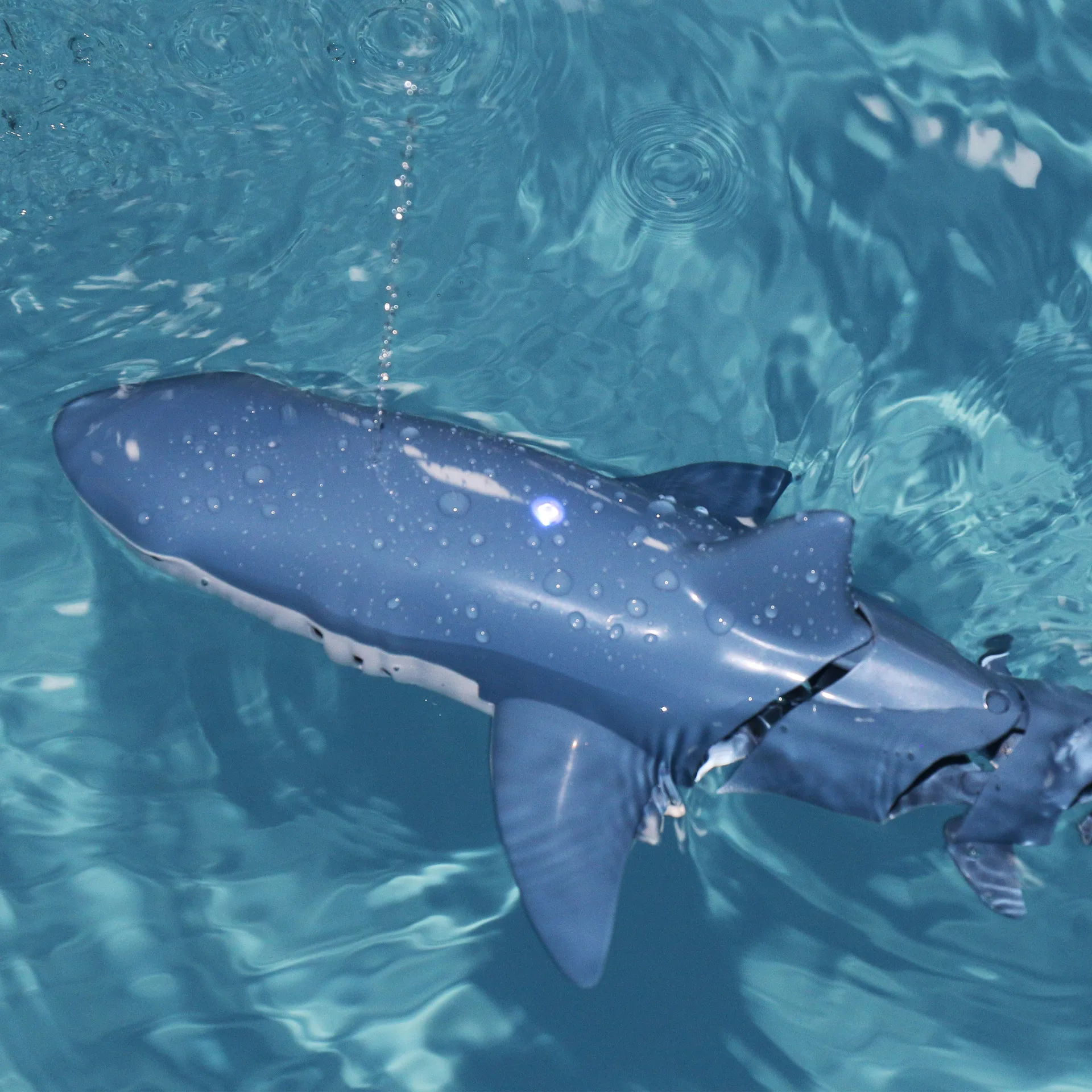 2.4G Wireless Remote Control Shark Toy Boat Children Electric Simulation Great White Shark Boy Water Playing Toy Gift remote controlled boat