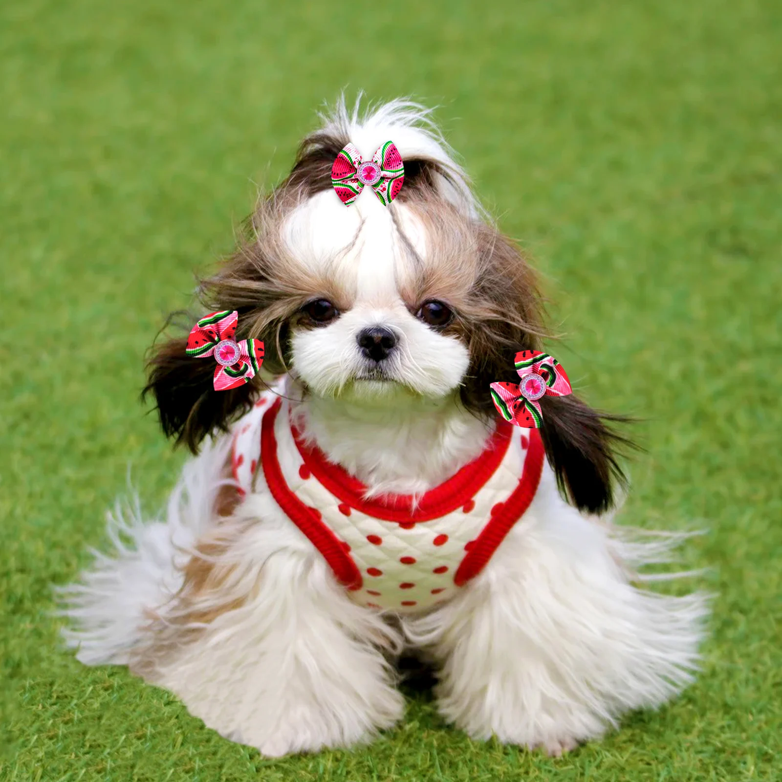 20PCS Dog Hair Bows Pet Dog Boutique Bows Rubber Bands Hair Bowknot Decorate for Dogs Groomining Cat Dog Pet Supplies 2