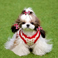 20PCS Dog Hair Bows Pet Dog Boutique Bows Rubber Bands Hair Bowknot Decorate for Dogs Groomining Cat Dog Pet Supplies 2