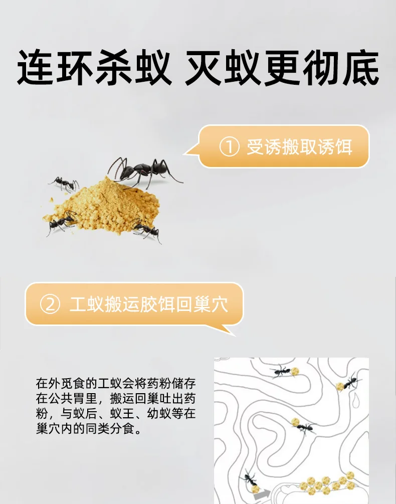 Anticide non-non-toxic anticide bait for domestic termite red black ants English version