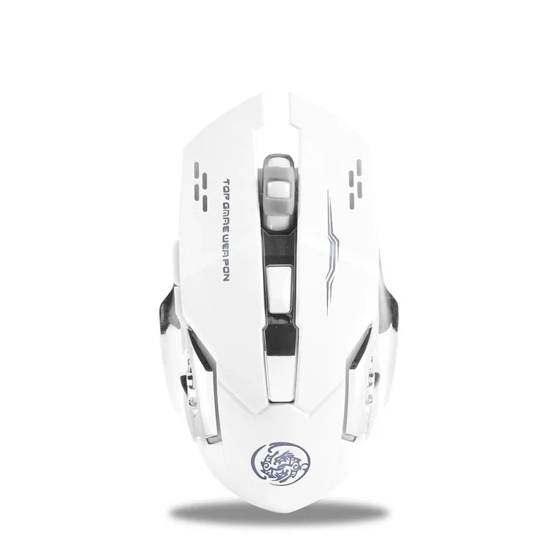 Rechargeable RGB LED Ergonomic Wireless Mouse with Type-C Connection