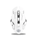 DM-White