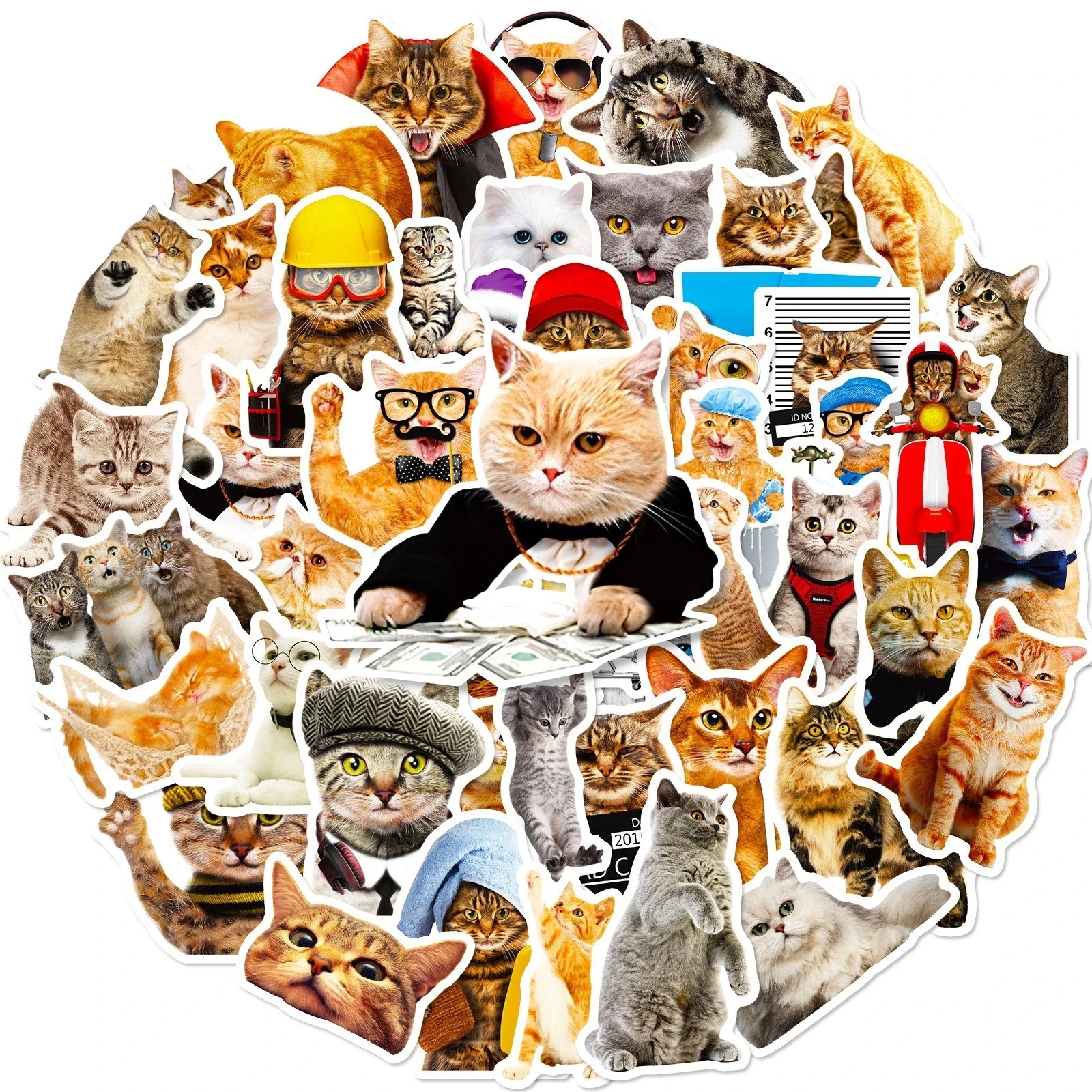 

50pcs Kawaii Cat Meme Stickers Funny Cats Graffiti Decals For Decorations Scrapbook Journal Water Bottle Laptop Luggage Stickers