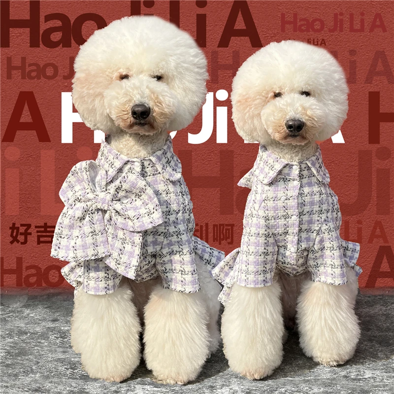 

Одежда для собак, модная одежда для гигантского пуделя