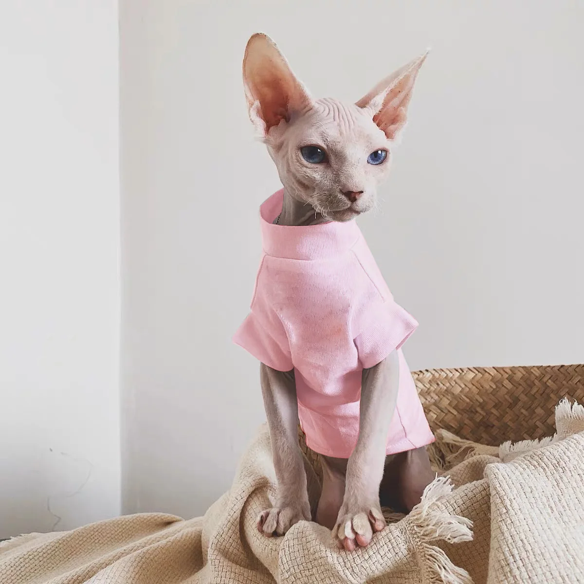 Sphynx ubrania dla kota bawełniany bezwłosy kamizelka dla kota niemowlę 100% miękka bawełniana letni cienka kamizelka ubrania dla kota bez rękawów dla devona, Cornish