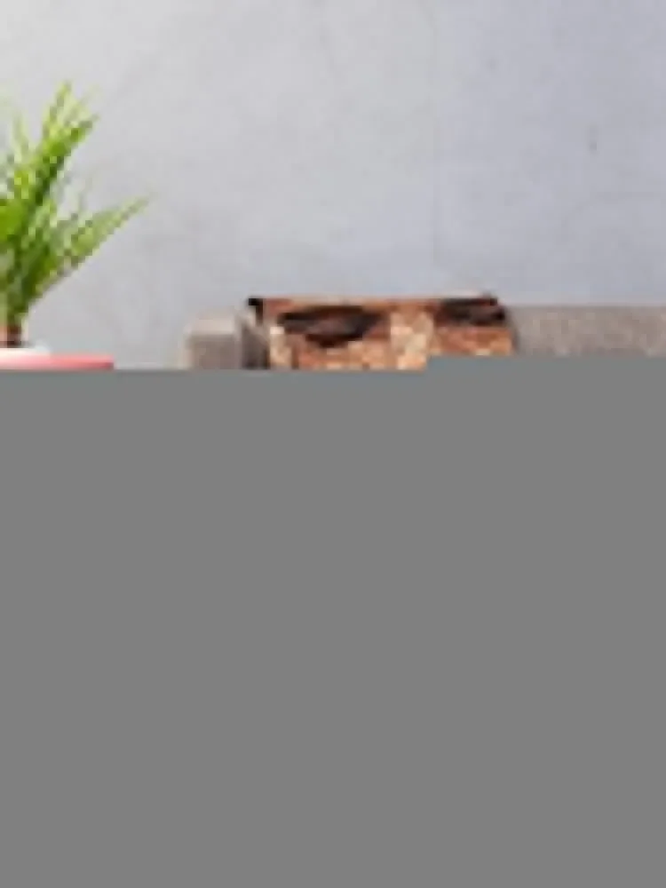 �巹��ũ ���� ������ ���, �ܿ� ���� �̵� ���