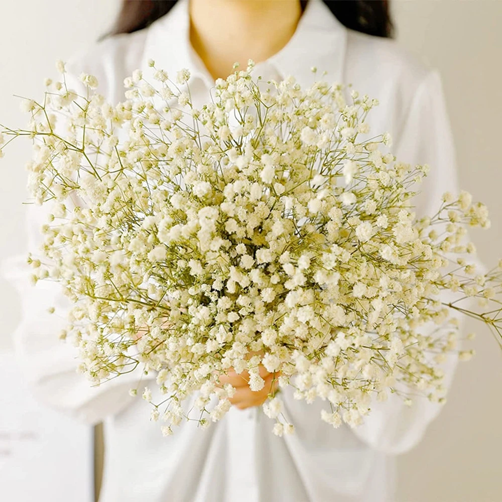 Dried flower bouquets 40-50cm Natural Fresh Dried Flowers Gypsophila paniculata Baby's Breath Flower bouquets gift & Wedding Decoration Home Decor