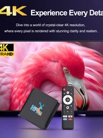 H96 MAX S905L3 Android 14 Smart TV Box 4K HD декодер двухдиапазонный Wi-Fi BT4.0 Google Assistant Set Top Box с линзой с рисунком оленя — изображение 4