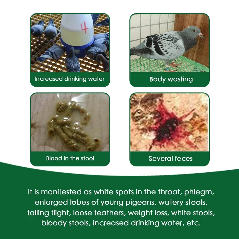 Trichomonas coccidia 2-in-1 powder for racing pigeons In vivo deworming medicine 5g*10 bags pigeon deworming medicine