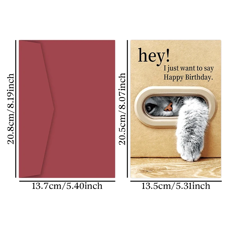【멋져요】귀여운 고양이 생일 카드, 장난스러운 고양이 발 디자인, 봉투가 포함된 생일 축하 카드, 고양이 애호가, 가족, 친구들을 위한 최고의 선물