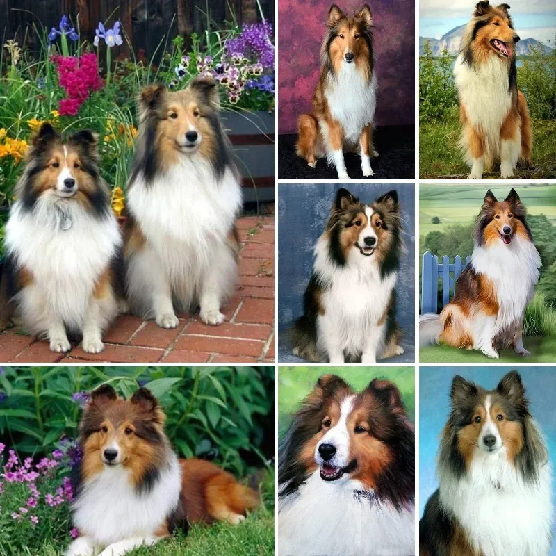 Full Square DIY Diamond Painting Sheltie Collie Sheepdog Mosaic Picture Rhinestones 5D Diamond Embroidery Cross Stitch Crafts diamond painting diamond art painting kit diamond painting set