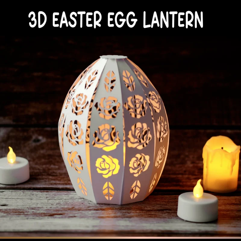 3D Ȱ   ݼ  , DIY ũ ٹ  ī  ,   