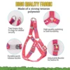 A colorful bone tripod pet dog harness for indoor and outdoor use 5