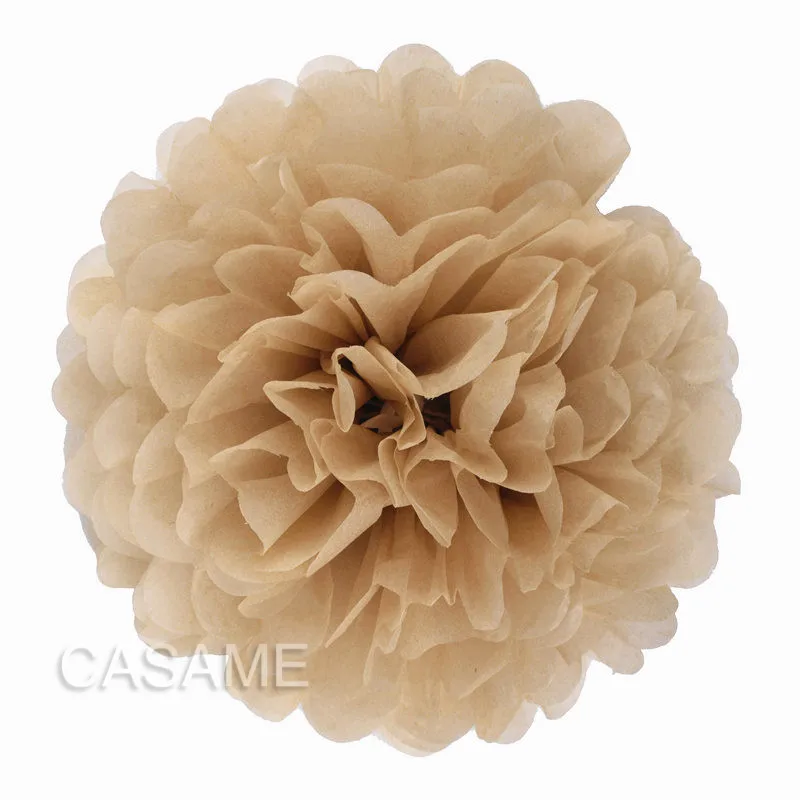 Set of 5 Colorful Tissue Paper Pom Poms for Party and Event Decor