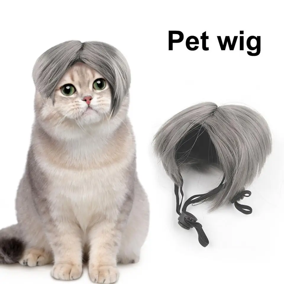 Parrucca Cosplay Per Cani E Gatti - In Fibra Di Nylon, Divertente E Lavabile | Per Feste E Foto - Foto 2