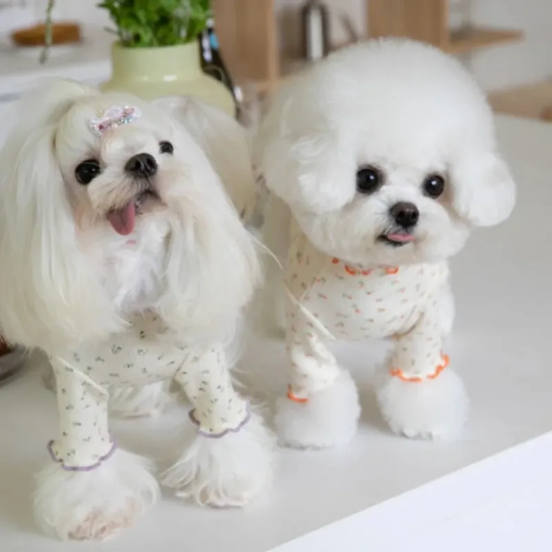애완견 겨울 레이스 꽃 속옷, 가정용 반려동물 티셔츠, 귀여운 레이스 테디 강아지 옷, 소형견용 강아지 스웨터