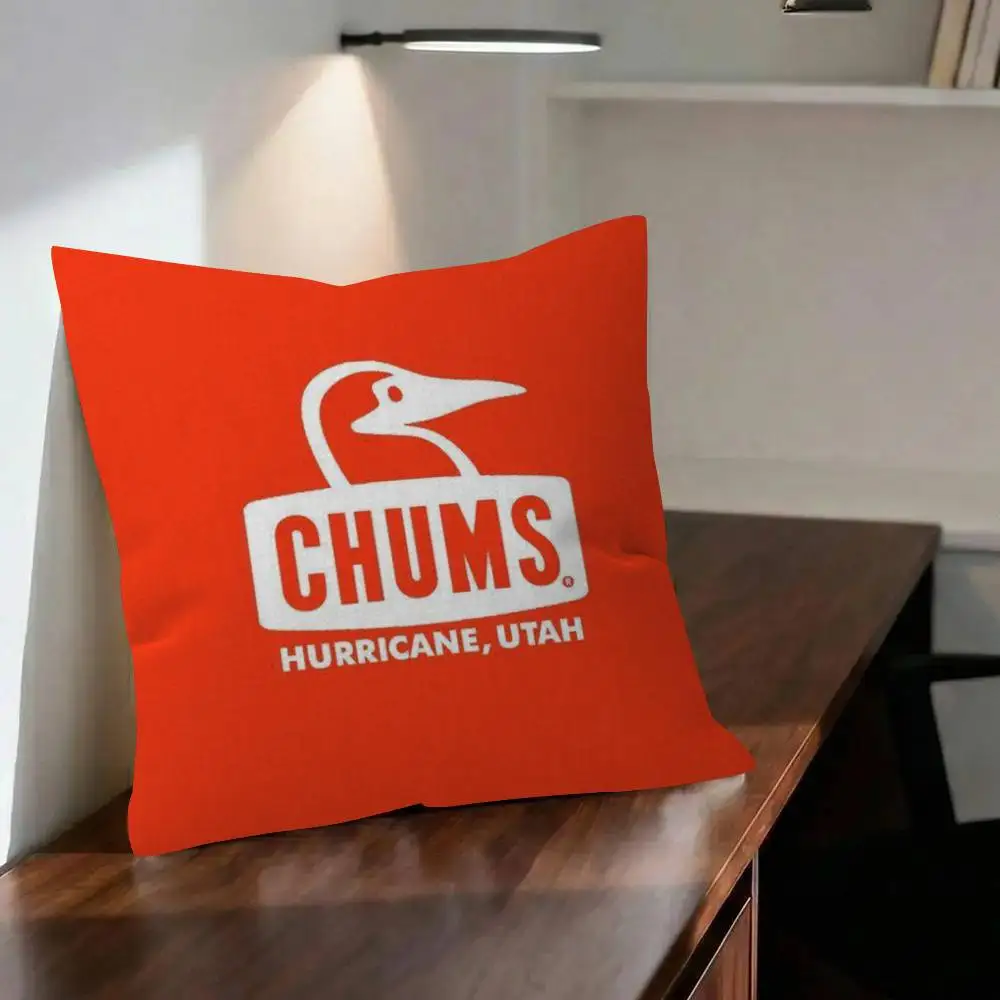 Toon Gift Decorative Pillowcase