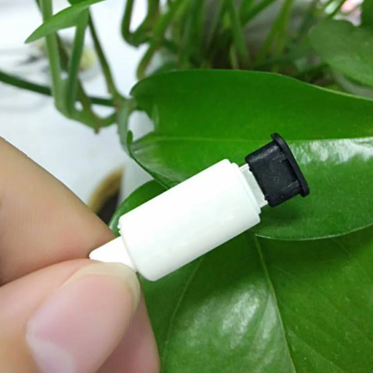 USB CŸ ϼ  ȣ Ŀ,  ȣ ÷ (), 10 