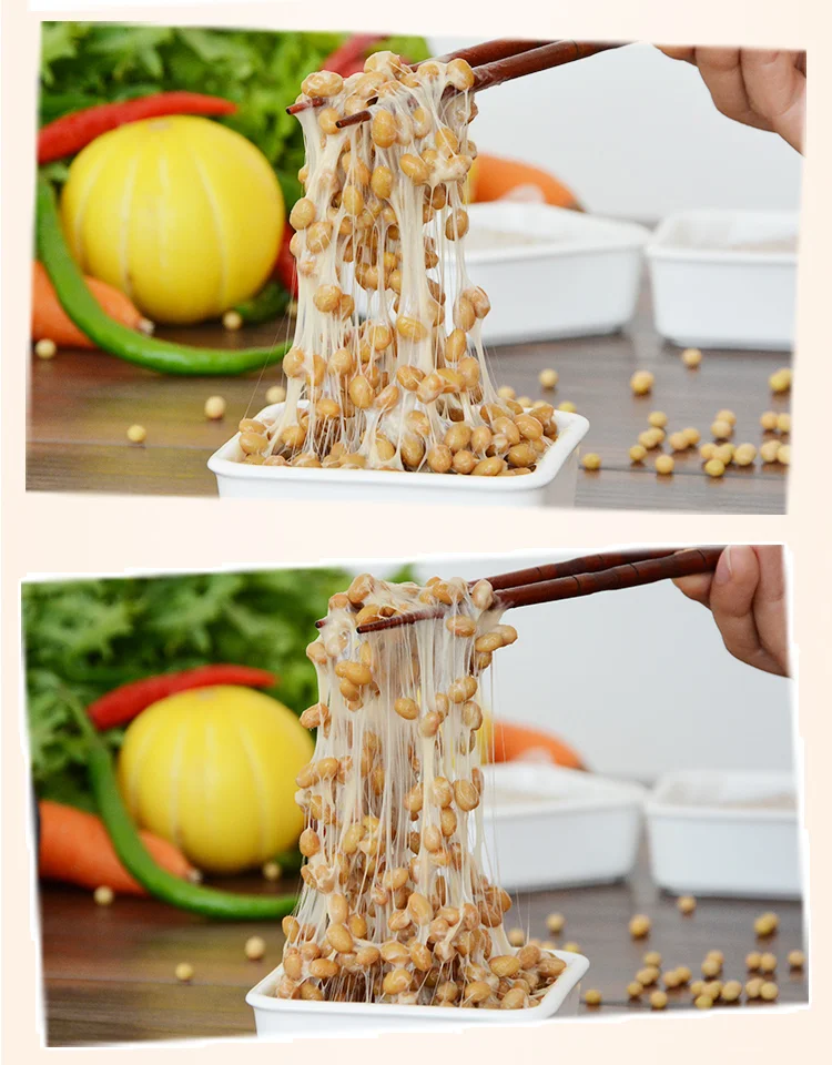 220V/40W fully automatic electric household natto machine, multifunctional yogurt, fermented soybean, kimchi, rice wine machine,