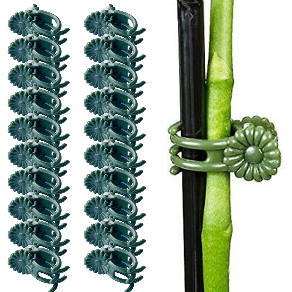 

20pcs Garden Plant Clips Orchid Flowers Support Clamp Climbing Vine Stem Clasp Tied Bundle Branch Clip Supports