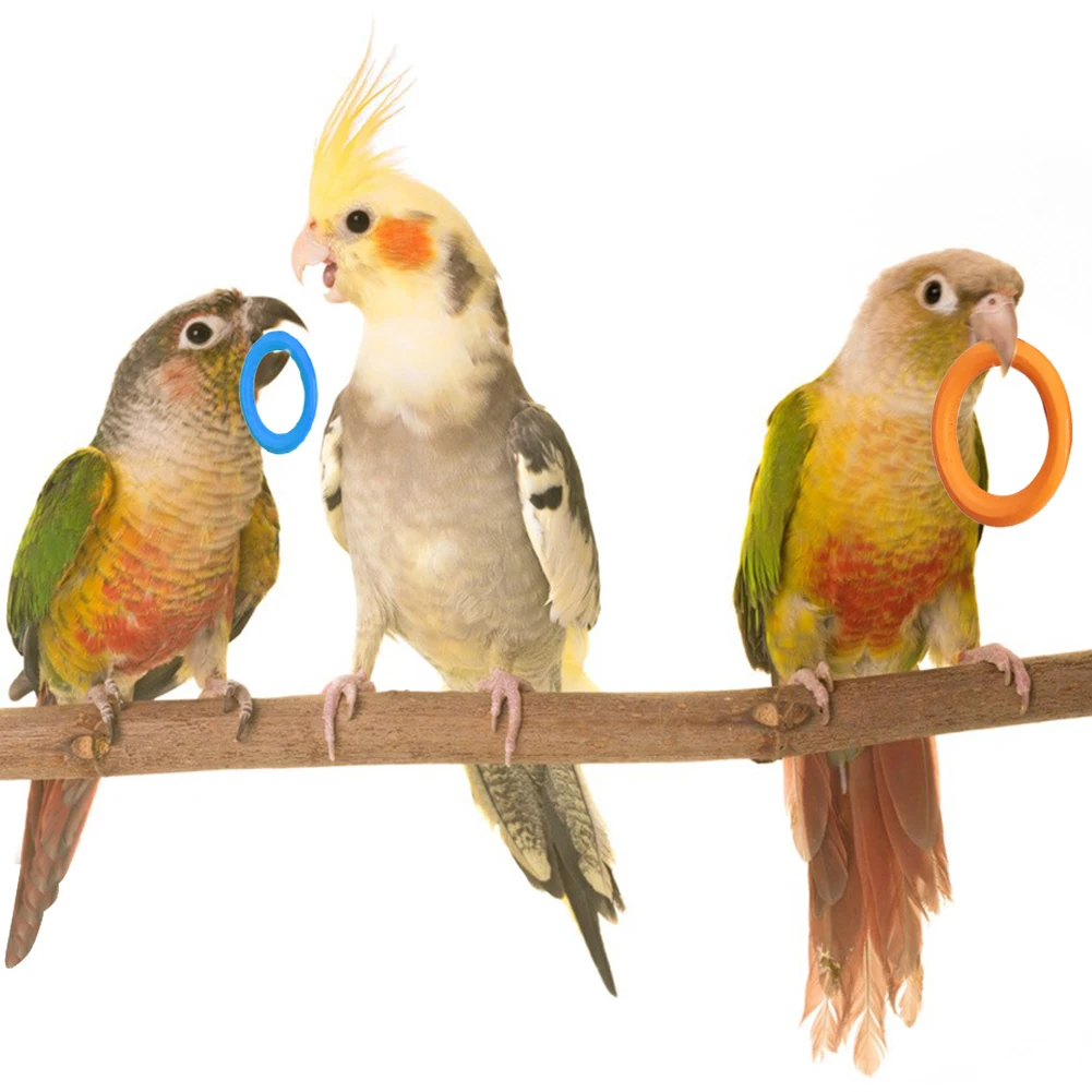 10Pcs Pet Bird Parrot Intelligence Toys Natural Wooden Ring Parrot Training Toy Chew Bite Toys For Budgies Parakeet Growth Toy 4