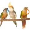 10Pcs Pet Bird Parrot Intelligence Toys Natural Wooden Ring Parrot Training Toy Chew Bite Toys For Budgies Parakeet Growth Toy 4