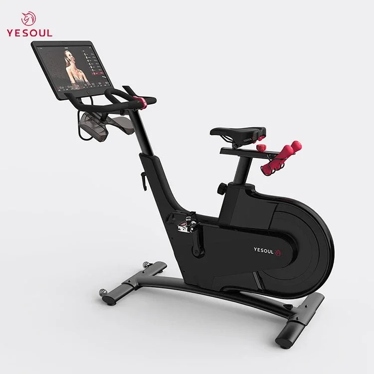 Exercise Bikes,Exercise Bike, Magnetic Stationary Bike With App, Low Noise Indoor Cycling Bike