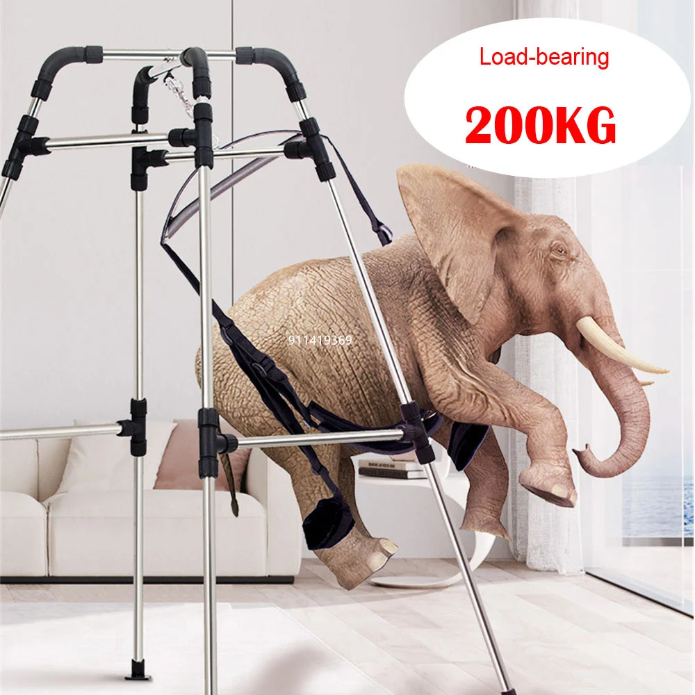 Load-bearing 200KG Large Iron Frame Swing Set Toy Swing Adult Frame Yoga Furniture Ceiling Type Double Toy Couple 18+