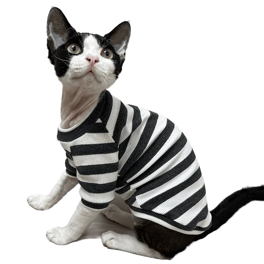 

Hairless Kitten Clothes Devon Rex Cat Sphinx Cat Clothing Striped Spring Autumn Cat Clothes Pet Sphynx Cat Costume