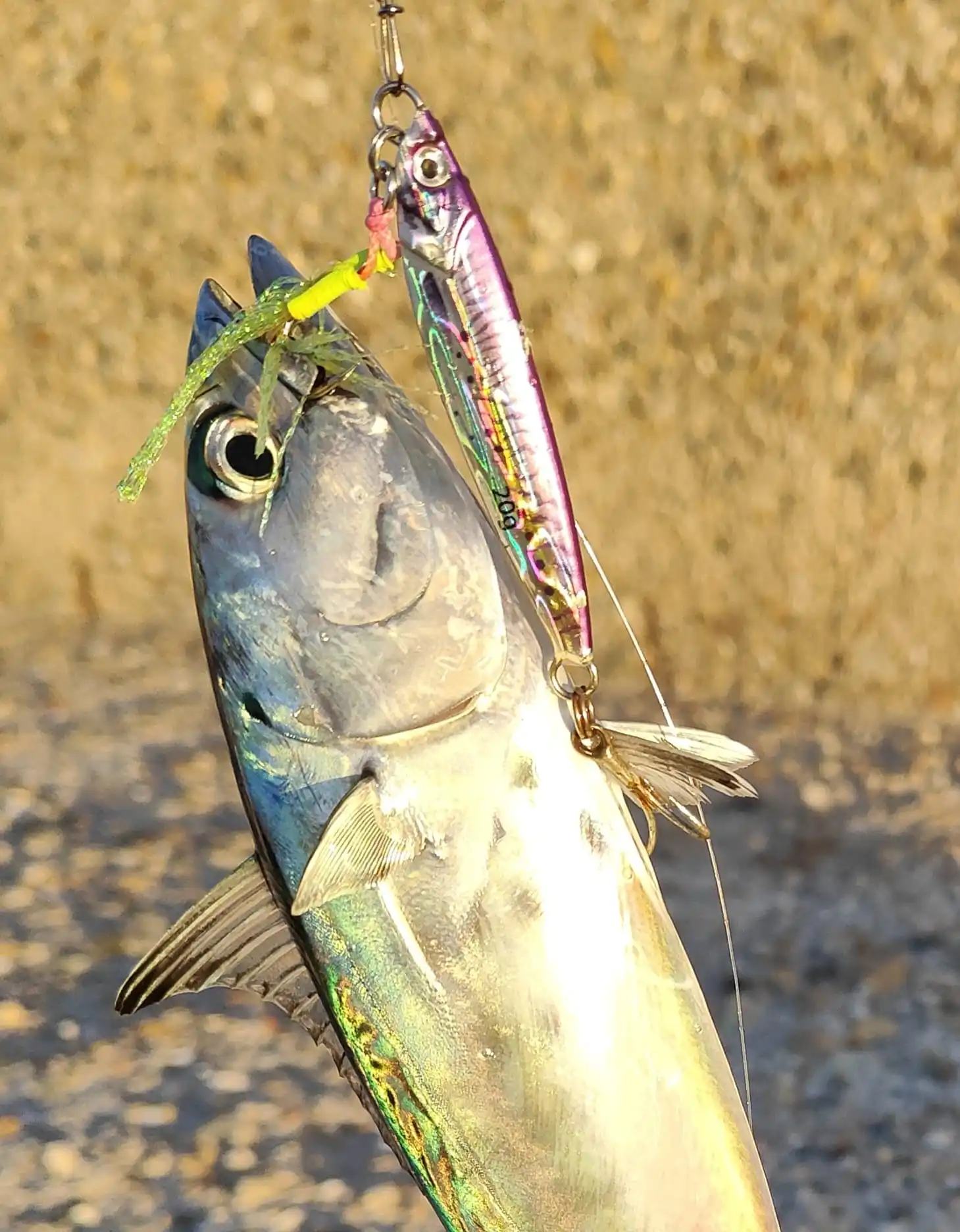 FSTK メタルジグオフショアジギングルアー 20g30g40g スロージグ