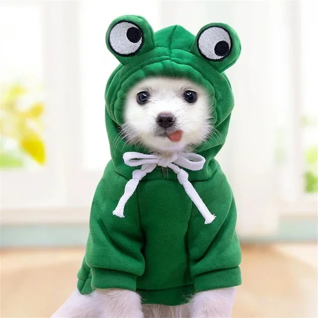 Warm Fleece Winter Cute Pet Dogs Clothes Apple Banana Carrot Fruit Cartoon Puppy Clothing for Small Medium Dogs Pet Cats Costume 3