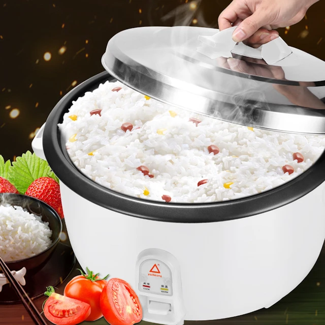 Electric Rice Cookers & Rice Makers